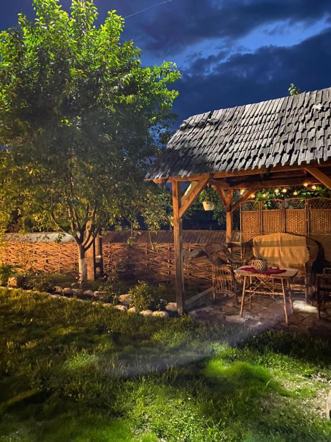 Casa Chira Ξενοδοχείο Vişeu de Sus Εξωτερικό φωτογραφία