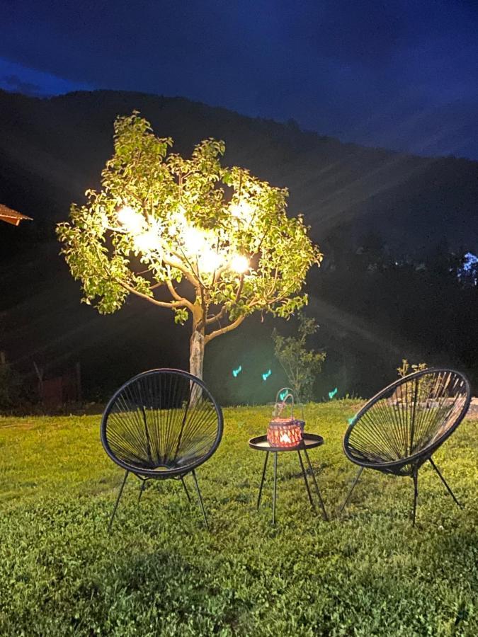 Casa Chira Ξενοδοχείο Vişeu de Sus Εξωτερικό φωτογραφία