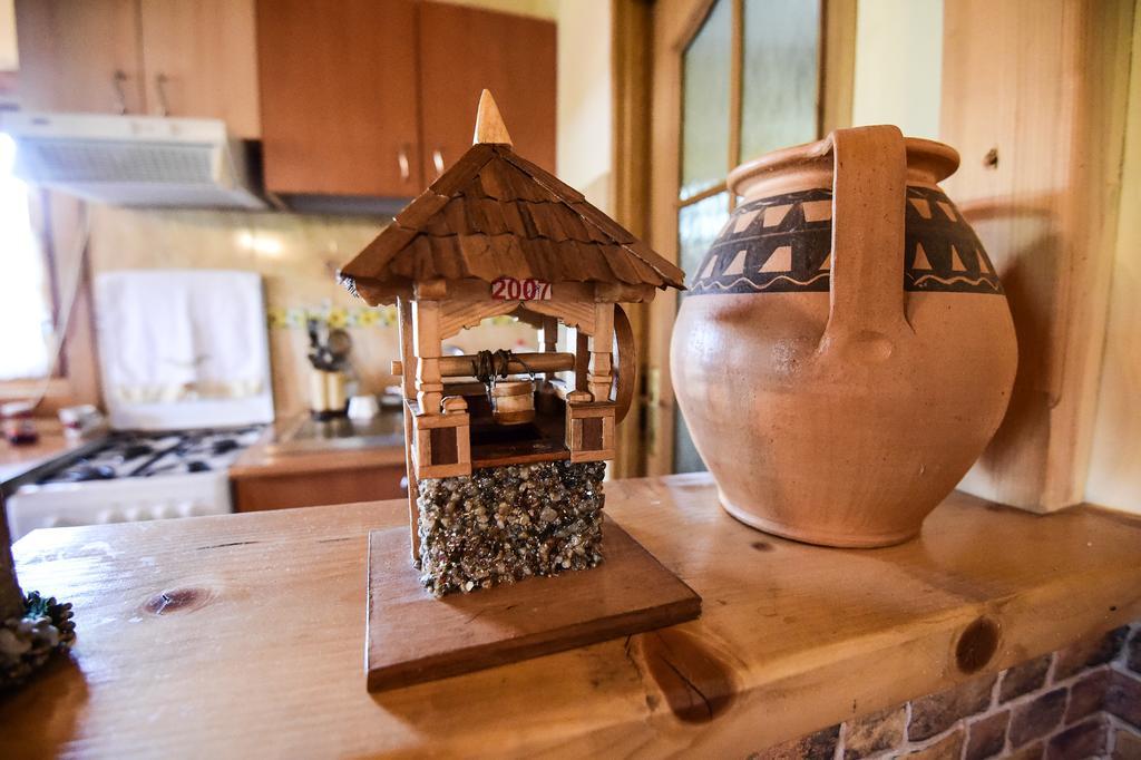 Casa Chira Ξενοδοχείο Vişeu de Sus Εξωτερικό φωτογραφία