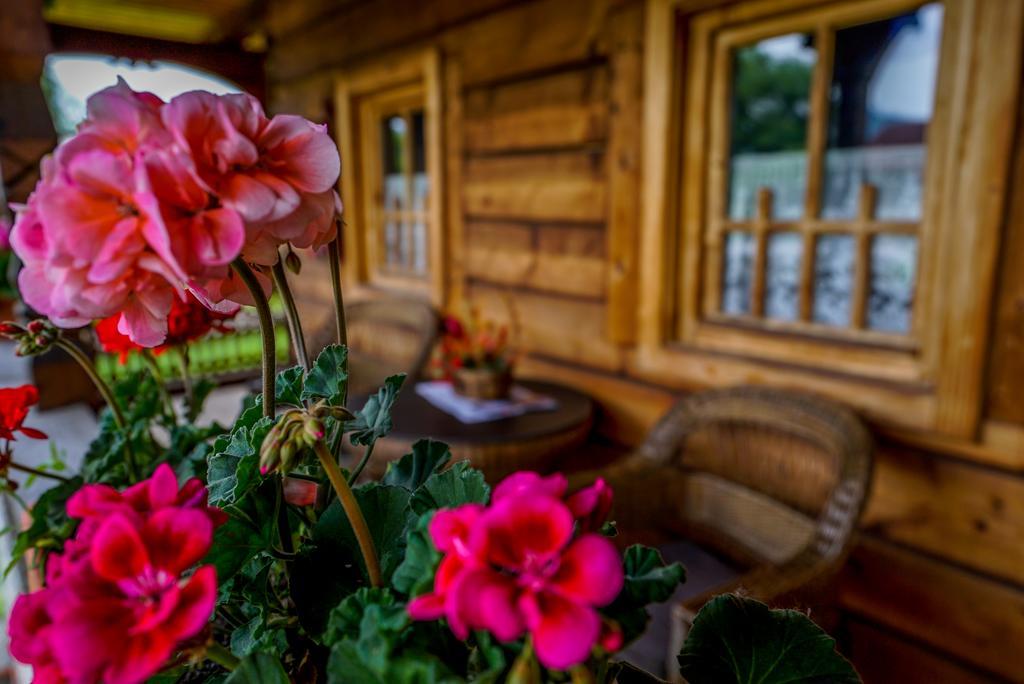 Casa Chira Ξενοδοχείο Vişeu de Sus Εξωτερικό φωτογραφία