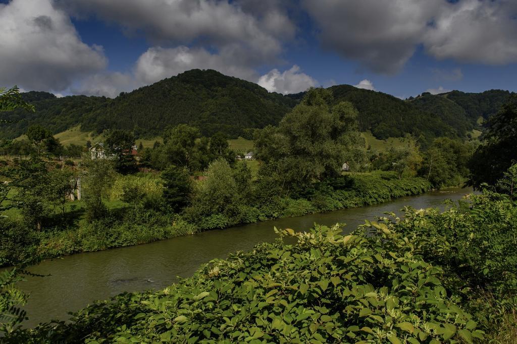 Casa Chira Ξενοδοχείο Vişeu de Sus Εξωτερικό φωτογραφία